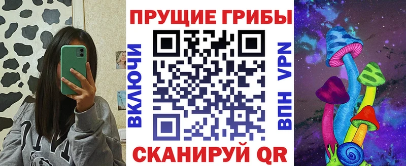 Галлюциногенные грибы Psilocybe  Купить где  Арамиль 