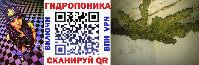 Канабис MAZAR  Купить  Арамиль 